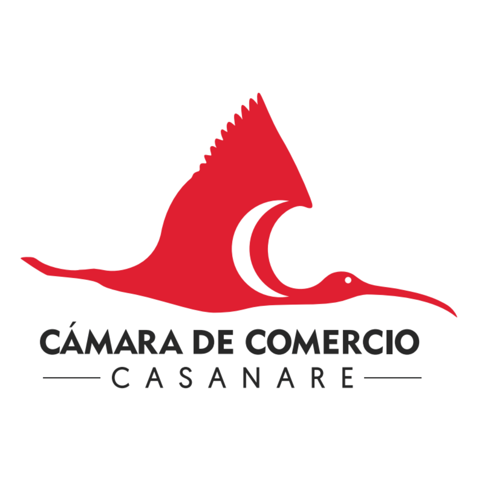 Logo CCC